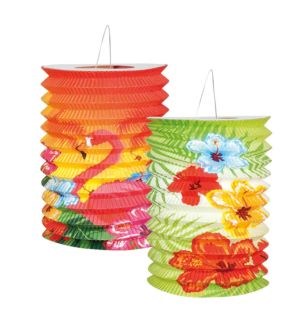 boland-2-aper-lanterns-hibiscus.jpg