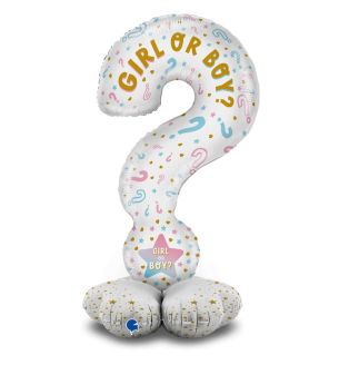 grabo-gk70011-p-the-standups---question-mark-gender-reveal-fr-b.jpg