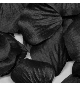 oaktree--rose-petals-black-1000pcs.jpg