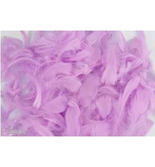 oaktree-3-5inch-50g-bag-pastel-lavender.jpg