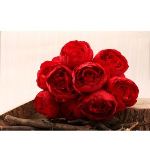 peony-bunch-x9-heads-red-40cmx8.5cm.jpg