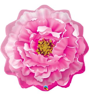 qualatex-pink-peony.jpg