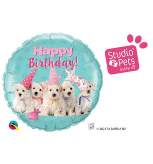 qualatex-sp-birthday-puppies.jpg