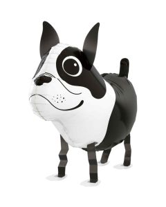 grabo-balloon-friends-boston-ttterrier-front-b.jpg