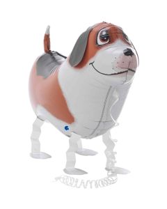grabo-bobby-the-dog-walk.jpg