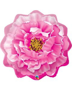 qualatex-pink-peony.jpg