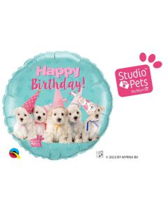 qualatex-sp-birthday-puppies.jpg