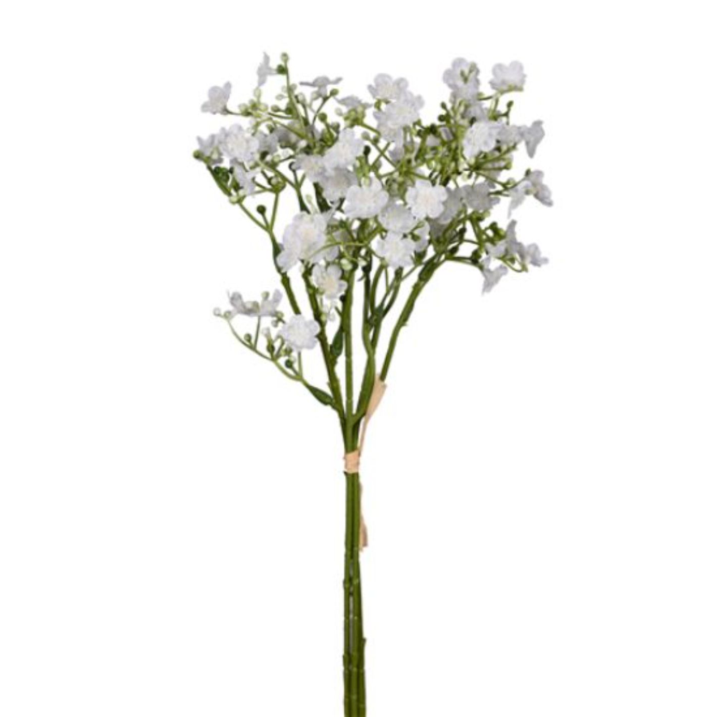 36cm Forget Me Not Bundle White