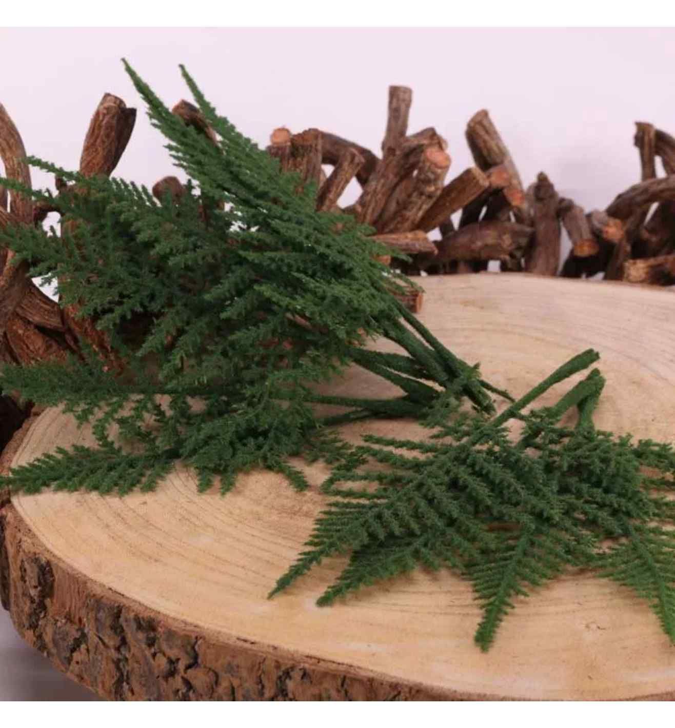 Green Fern Leaves x12 pcs