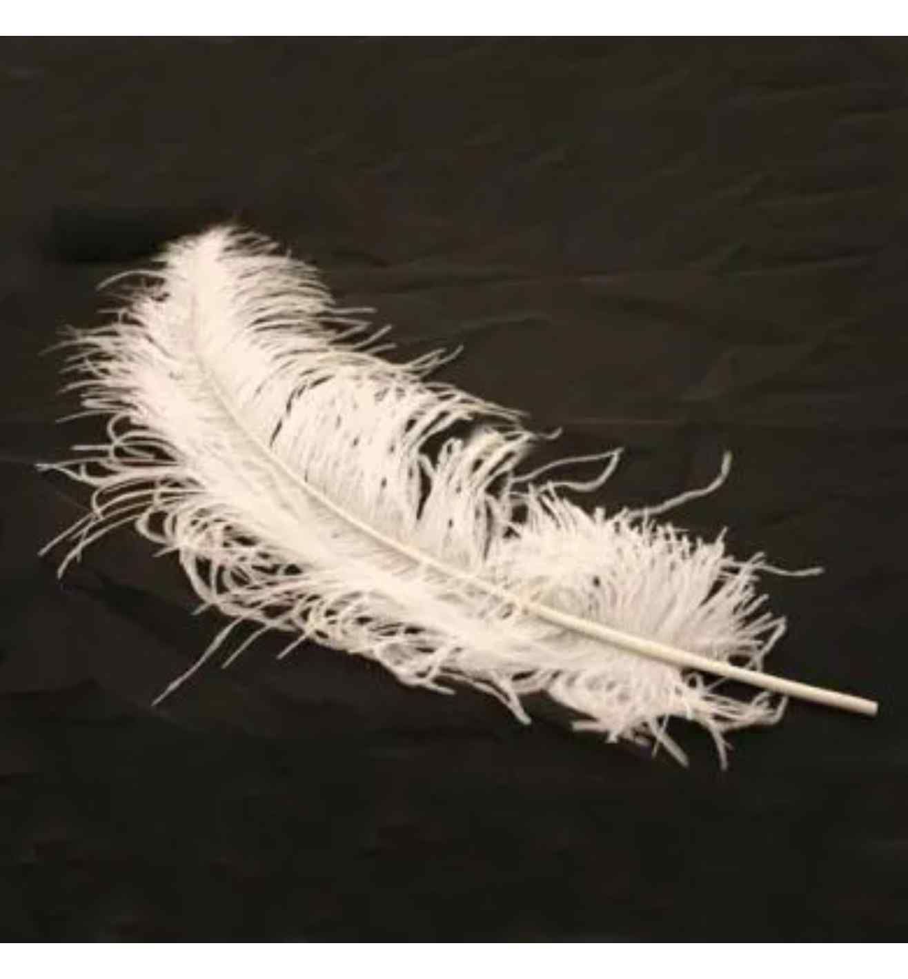Ostrich Feathers White 5Pack