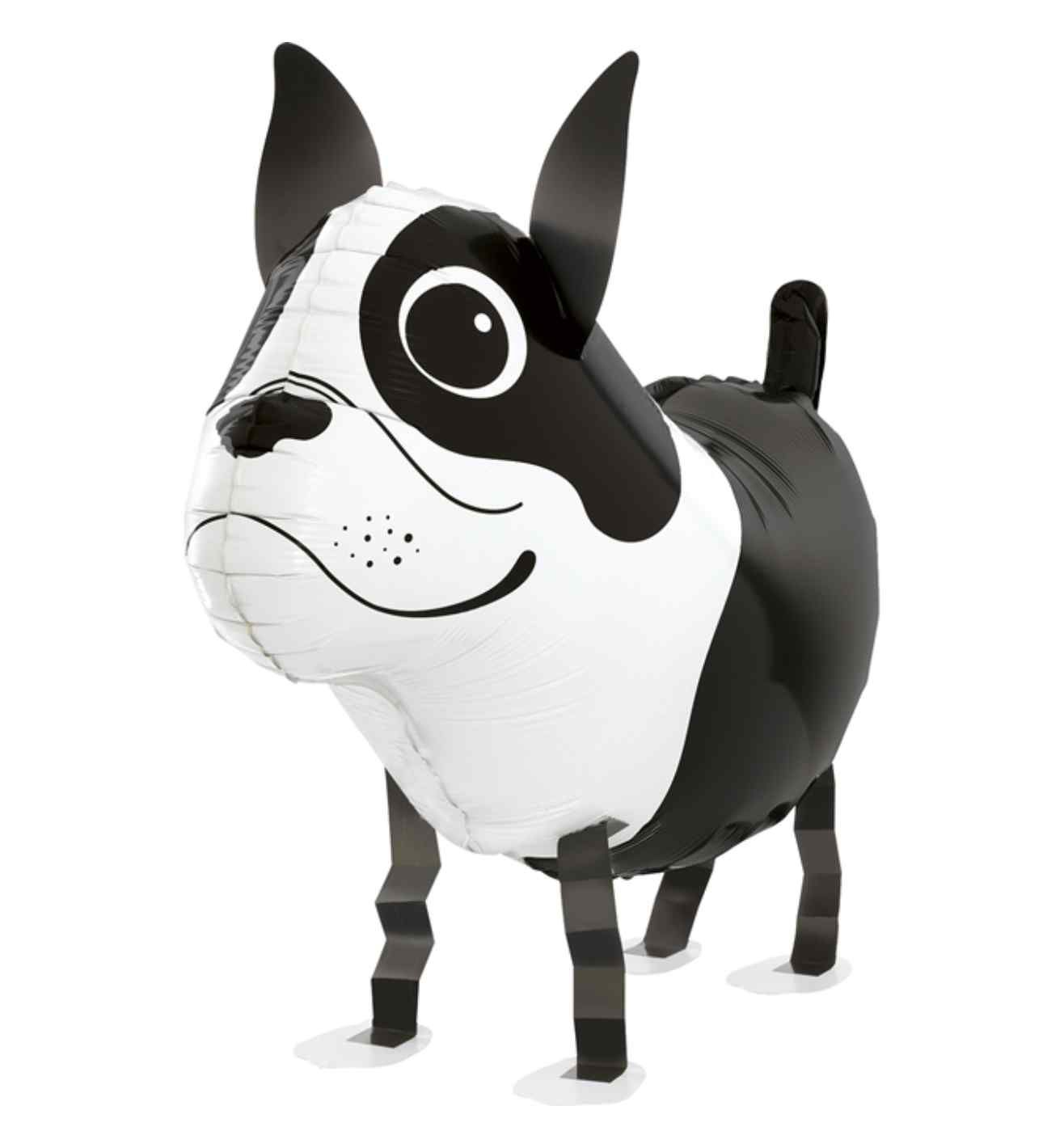 19" Betallic Balloon Friends Boston Terrier