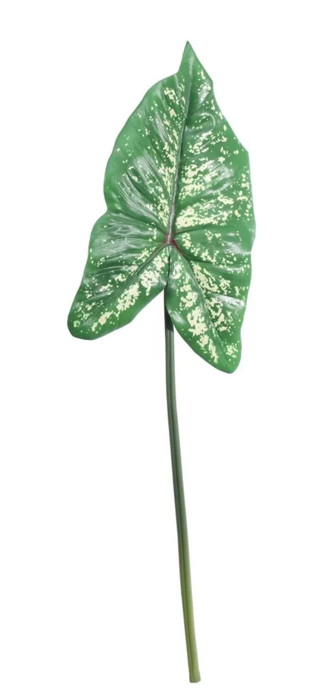 Single Large Syngonium Leaf (74cm)