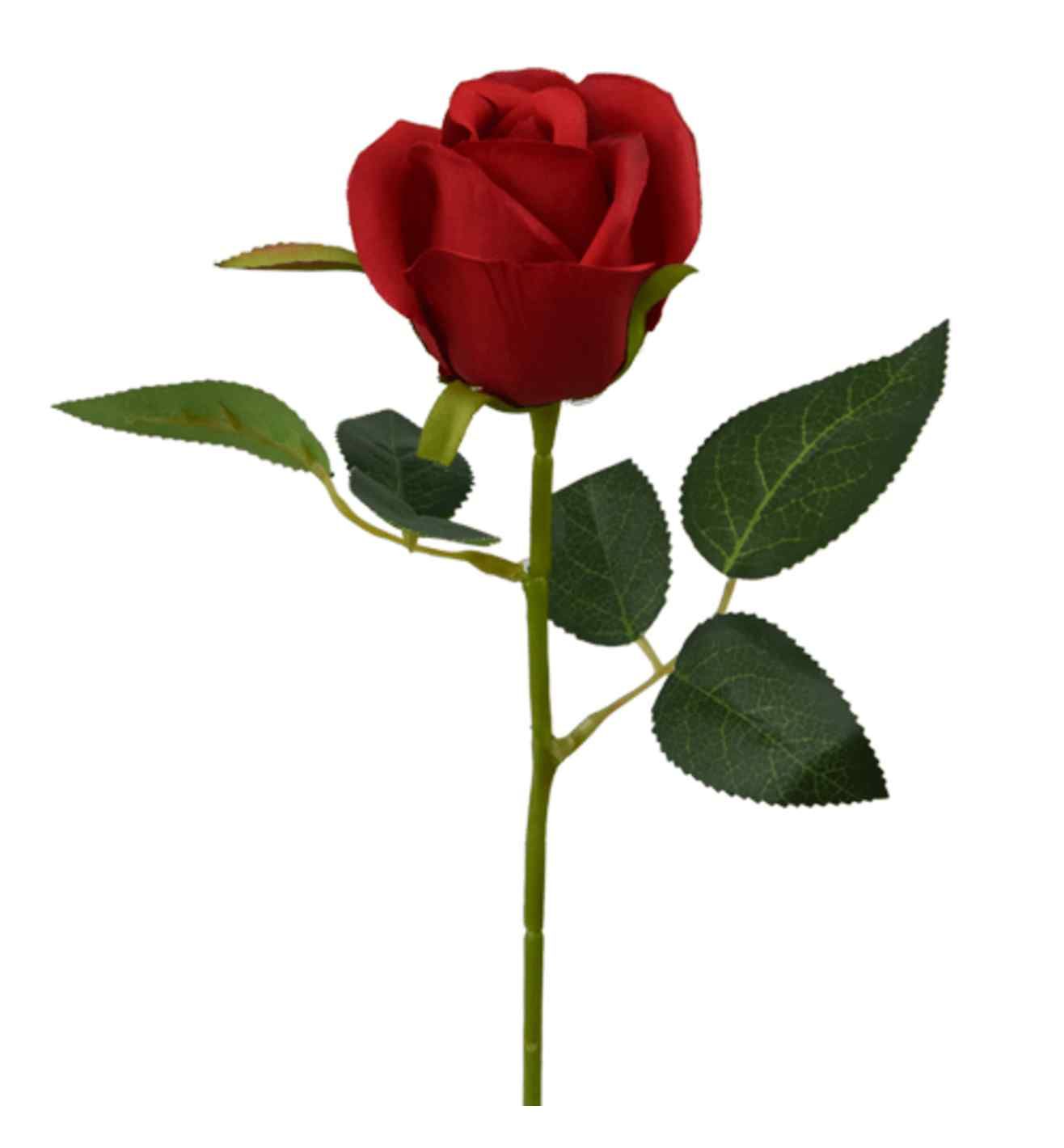 Single Short Stem Rosebud Red