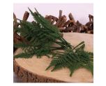 Green Fern Leaves x12 pcs