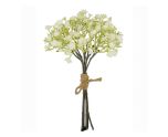 29cm Gyp Bunch Dry Colour Cream