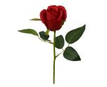 Single Short Stem Rosebud Red